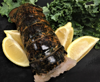 Lobster tail sold by Euclid Fish Company near Cleveland, Ohio
