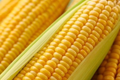 Ears of corn sold by Euclid Fish Company near Cleveland